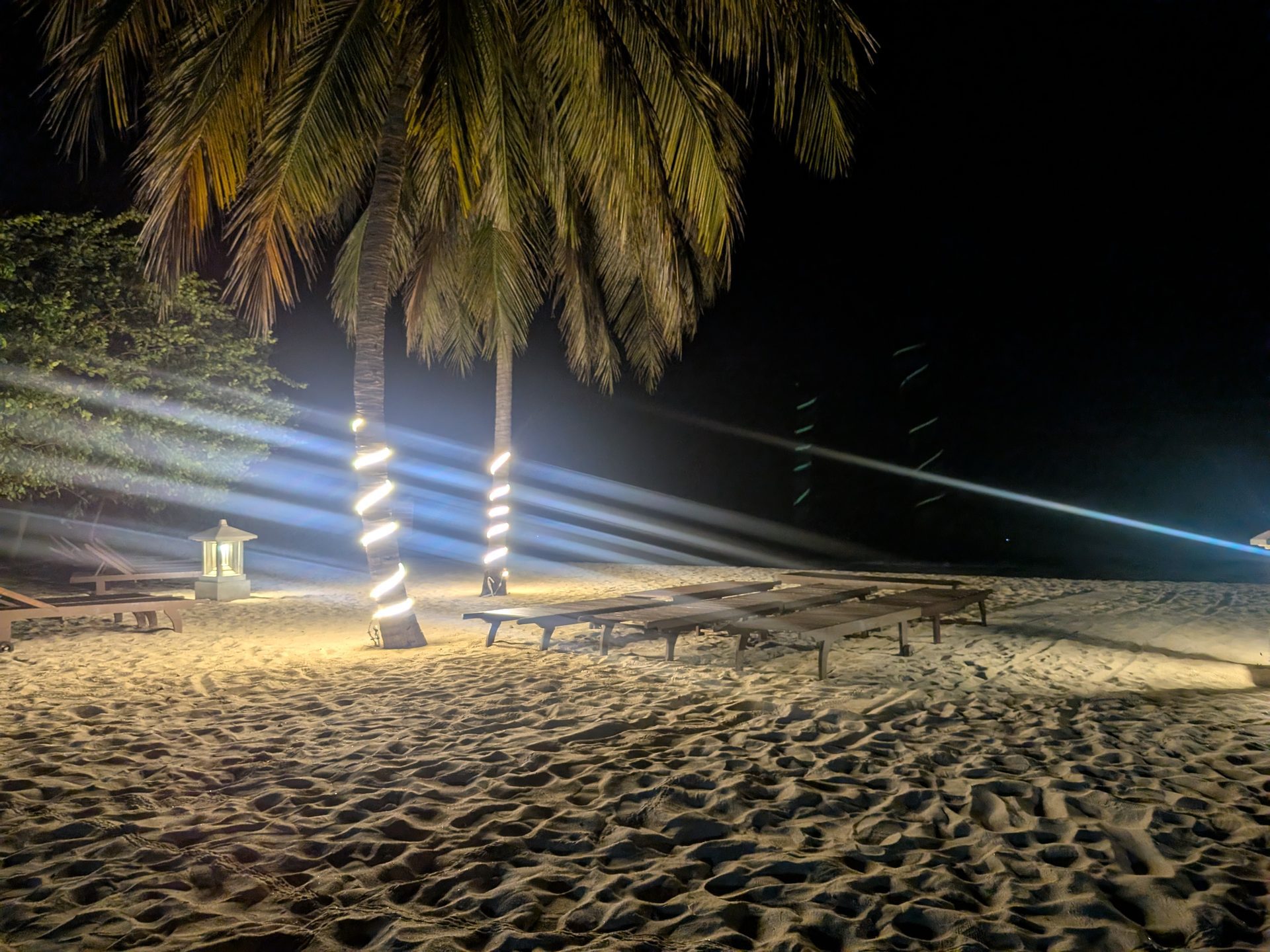 Beach loungers and lit palm trees at night at Anantaya Pasikudah