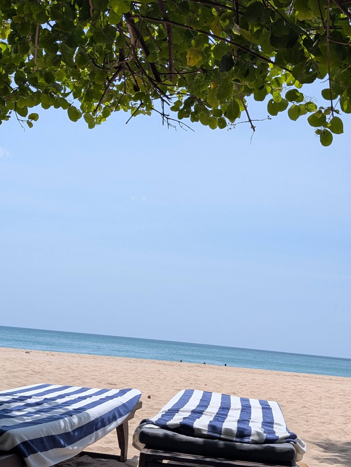 Striped beach loungers in front of Anantaya Pasikudah