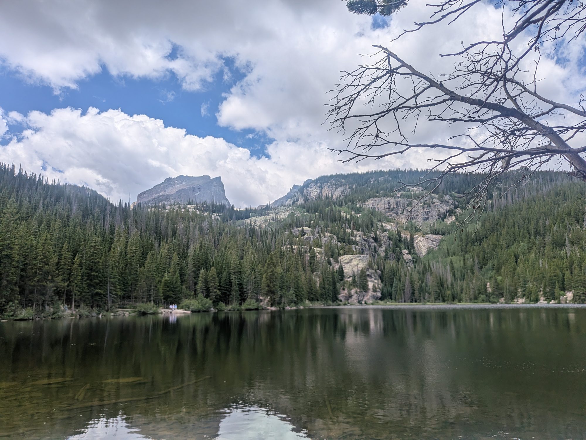 Bear Lake reflecting clouds and forest with Hallett Peak in the distance