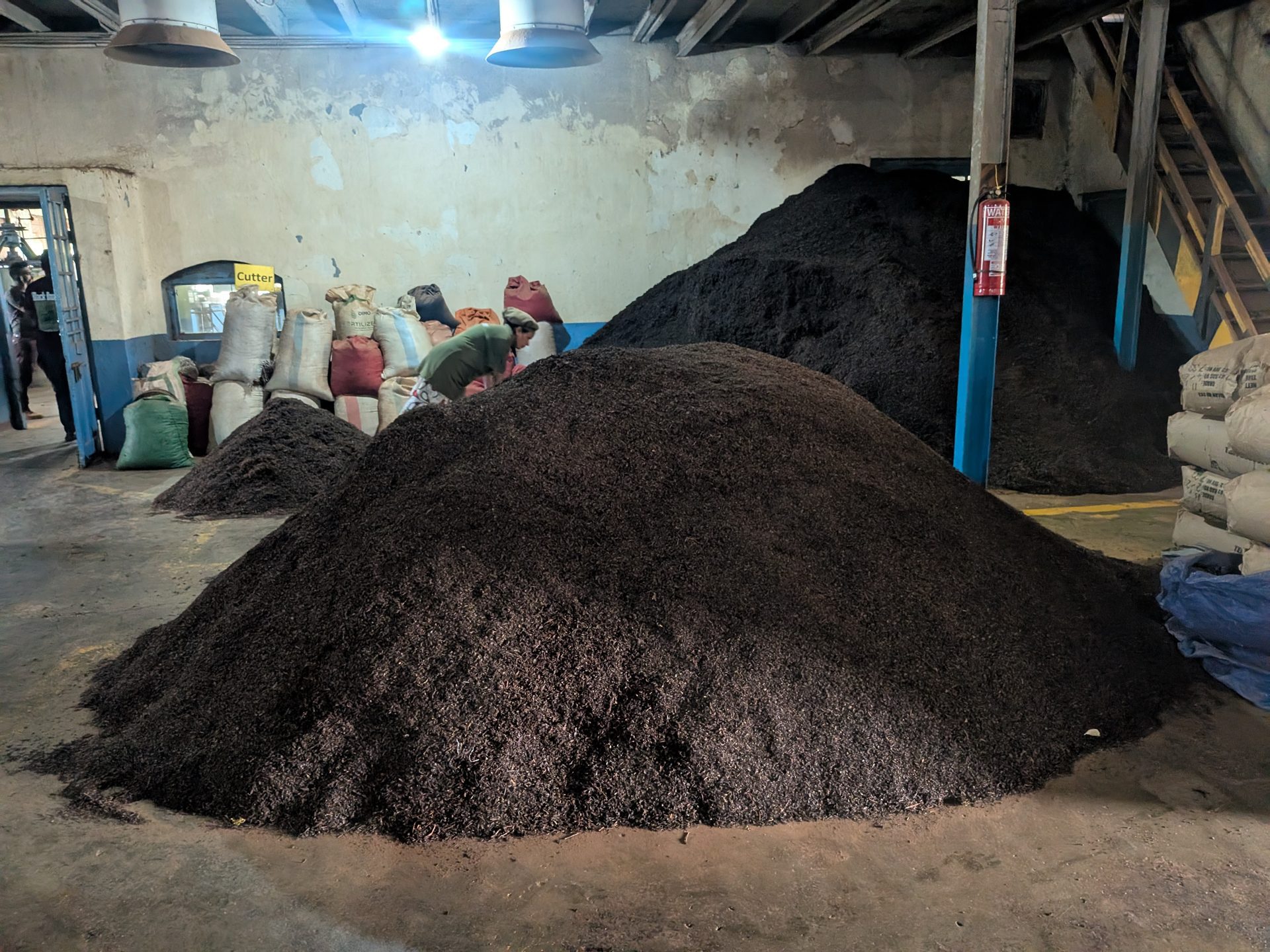 Piles of black tea inside the Kinellan Tea Factory