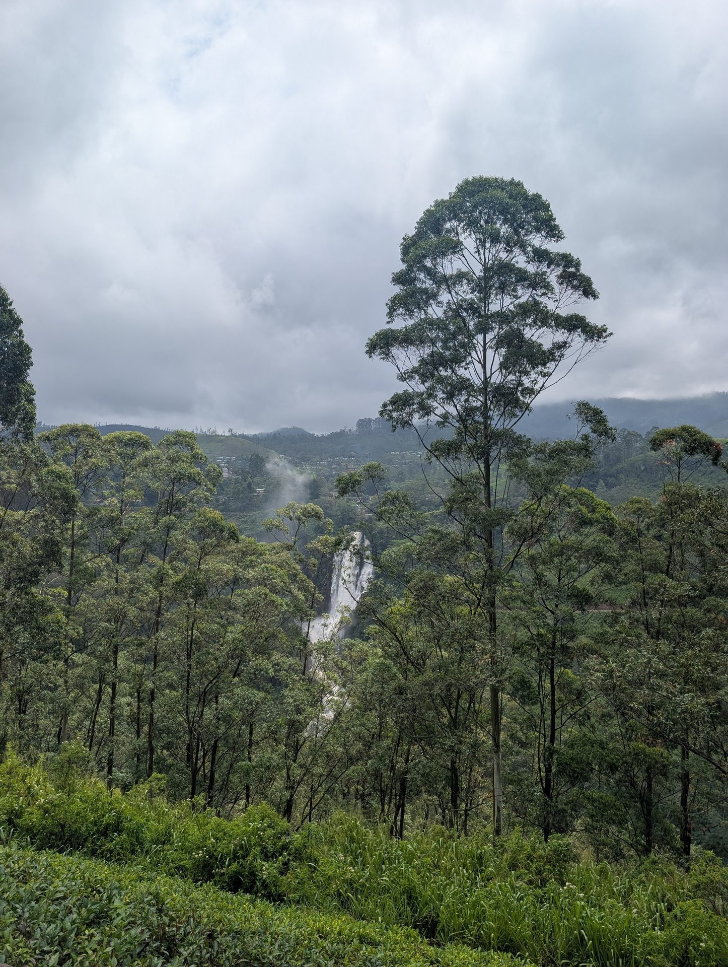Devon Falls seen from the roadside viewpoint