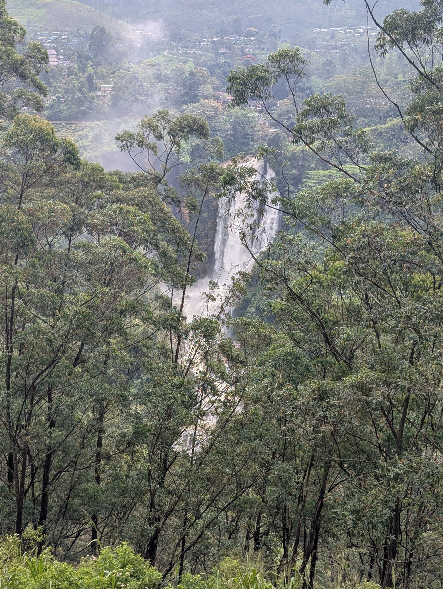 Devon Falls dropping through forest near Talawakelle