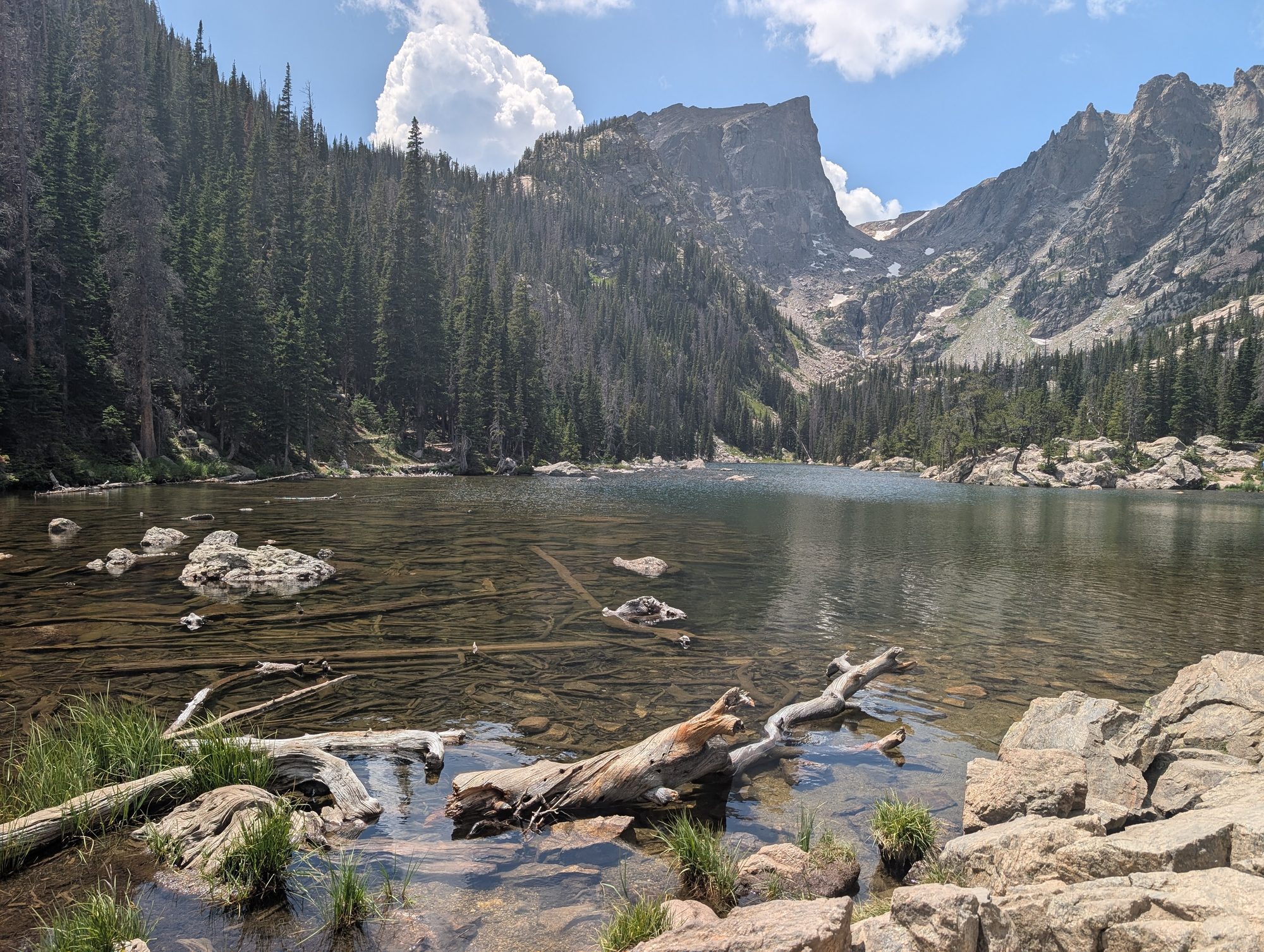 Clear water and fallen logs along the shore of Dream Lake