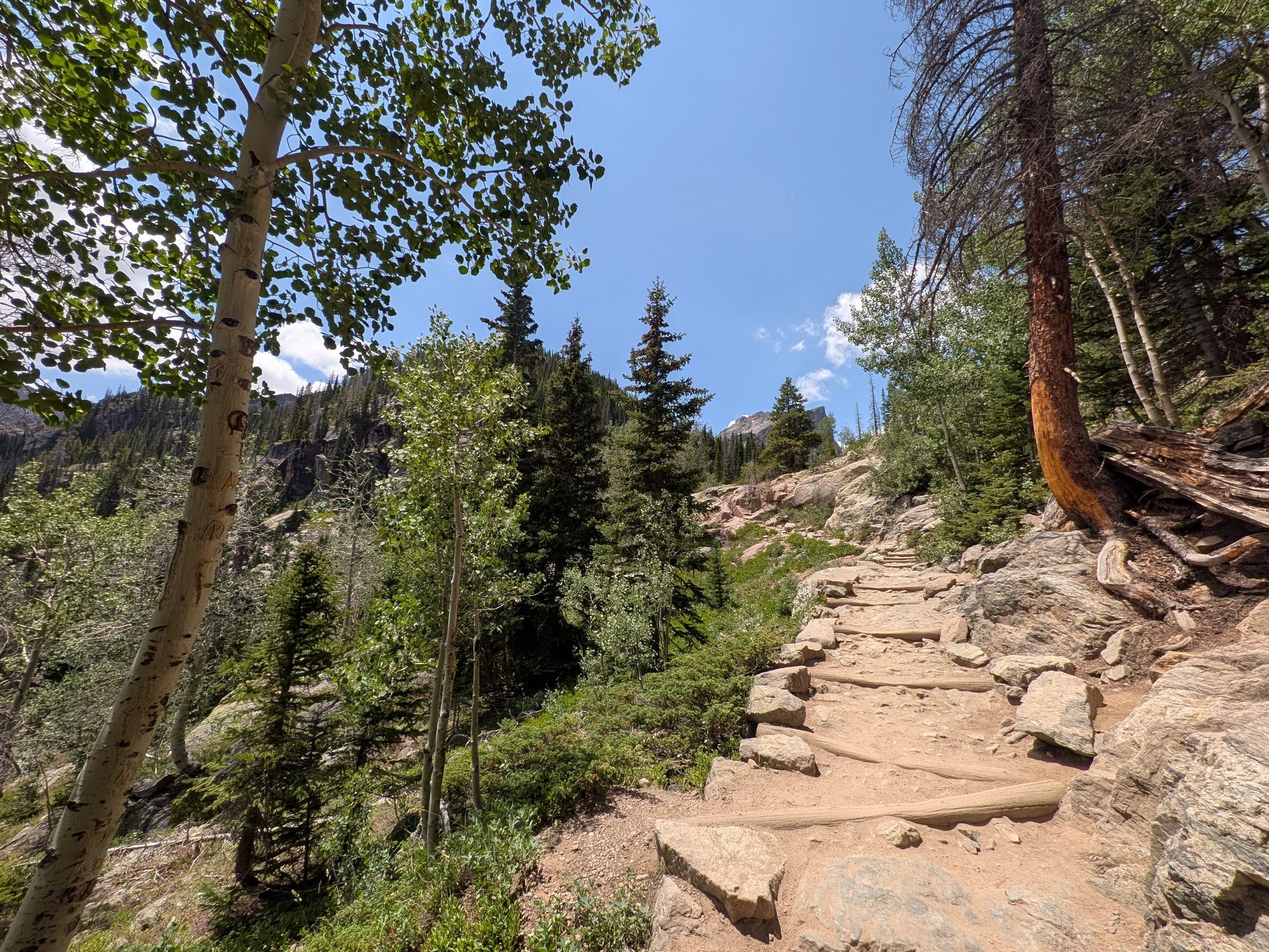 Rocky stepped section of the Dream Lake Trail through aspen and pine