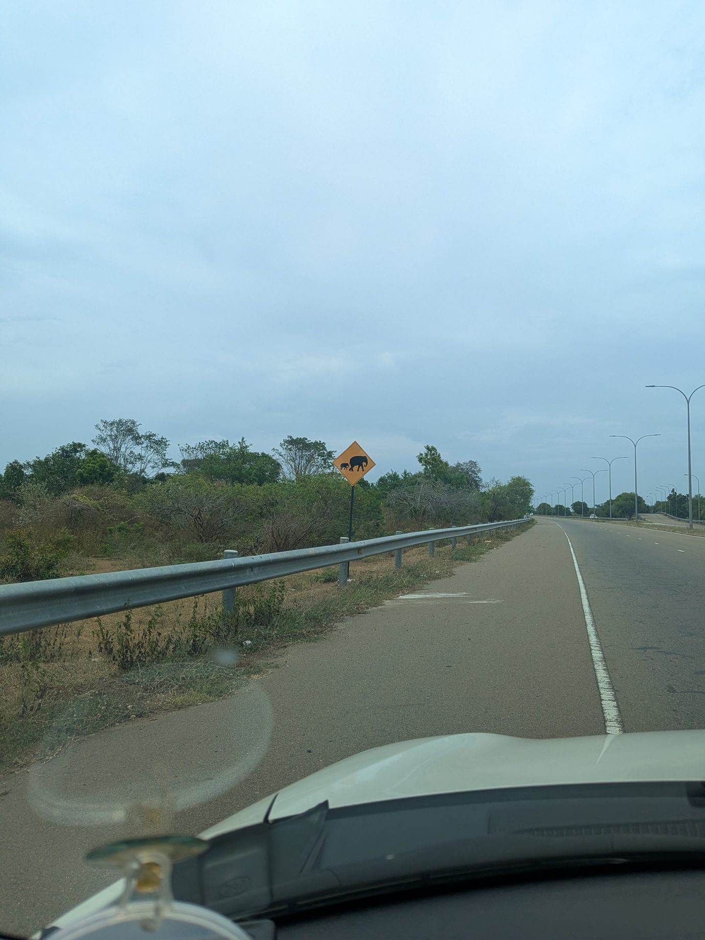 Elephant crossing sign along a Sri Lankan expressway