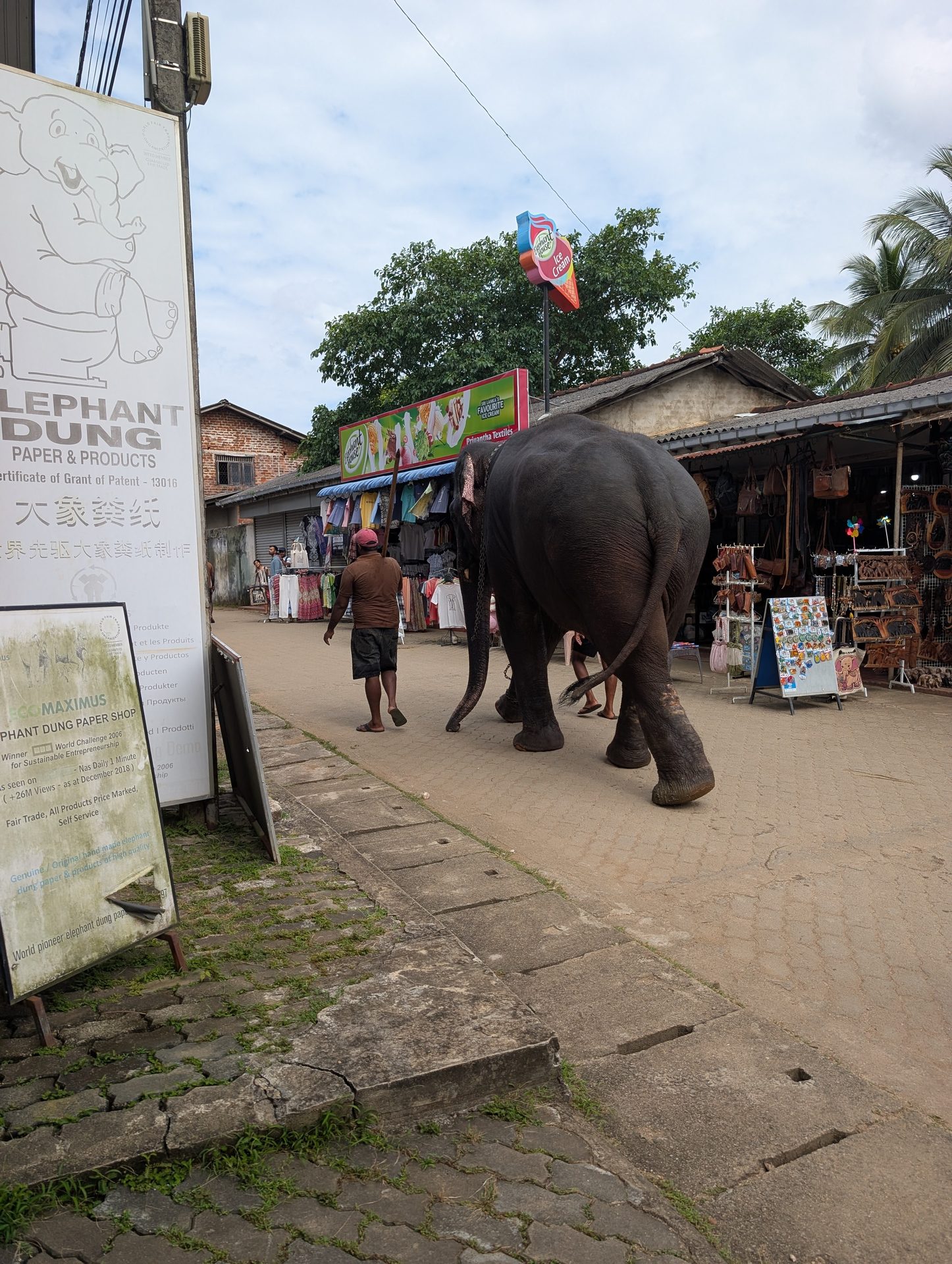 Elephant dung paper shop on the street at Pinnawala