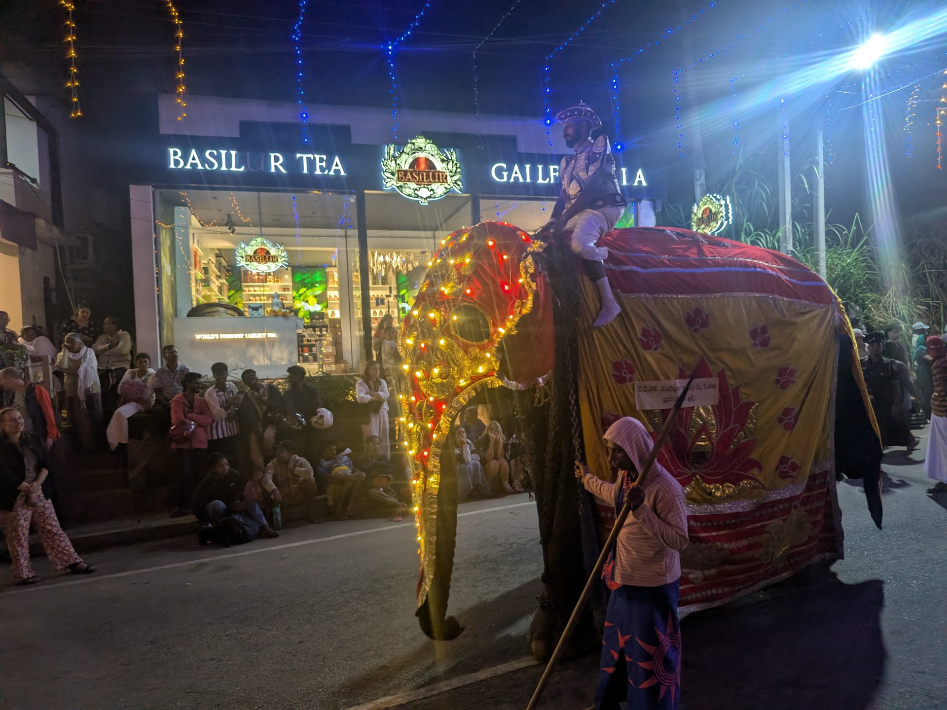 Elephant covered in lights walking through Ella during the perahera