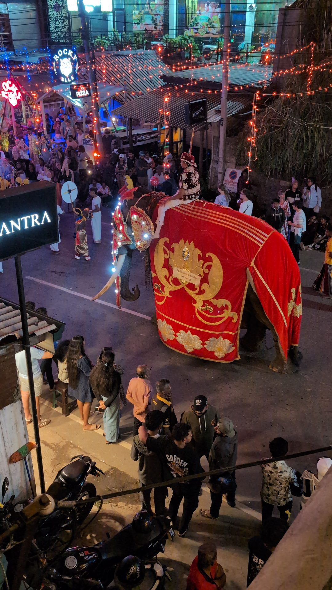 Elephant in a red ceremonial robe at the Ella perahera