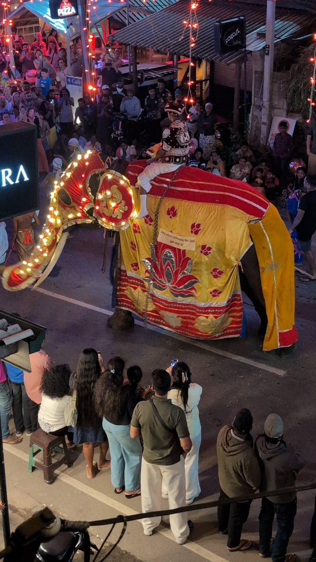Elephant in a lit-up costume at the Ella perahera