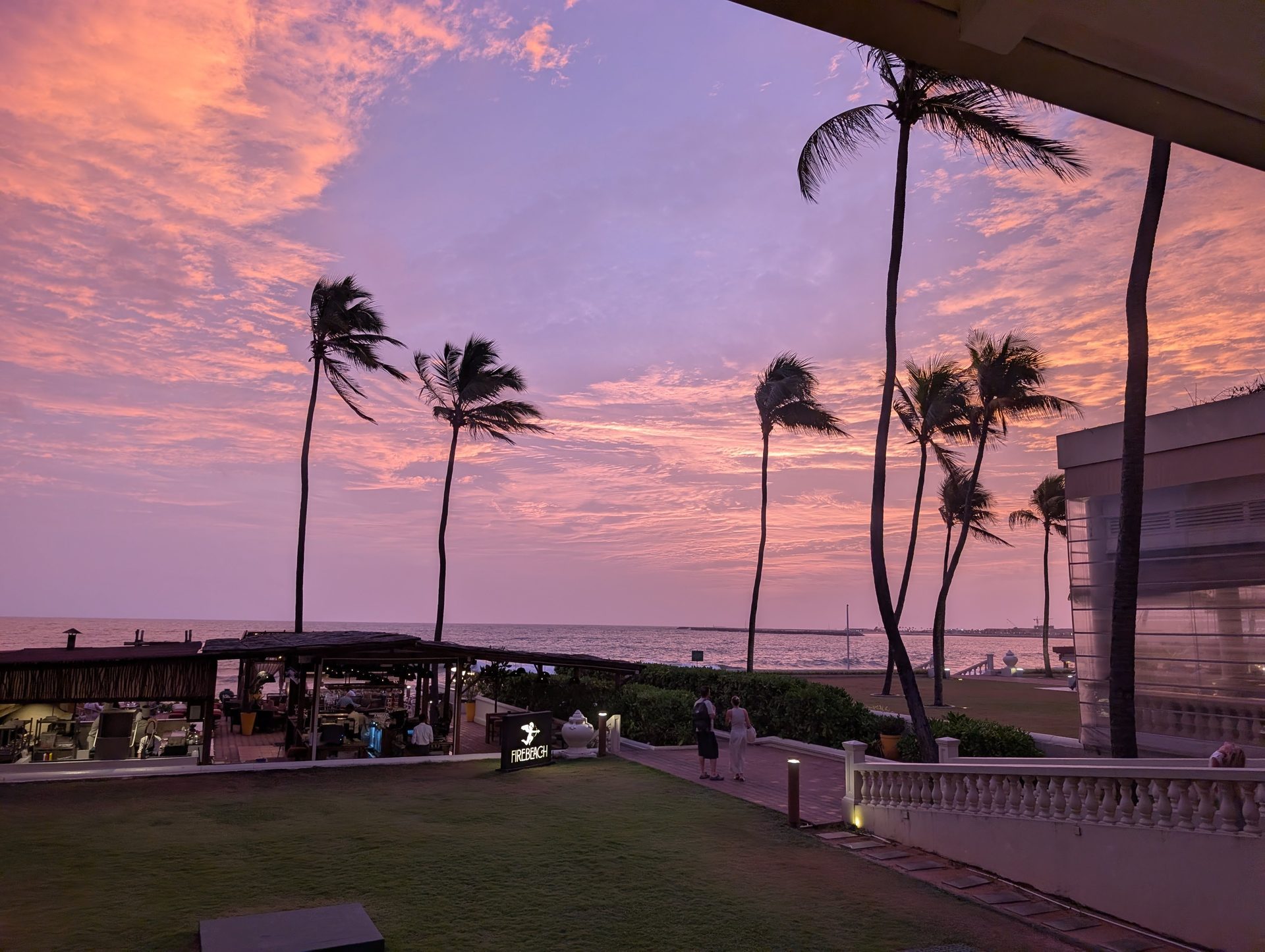 Pink sunset sky and palm trees at the Galle Face Hotel
