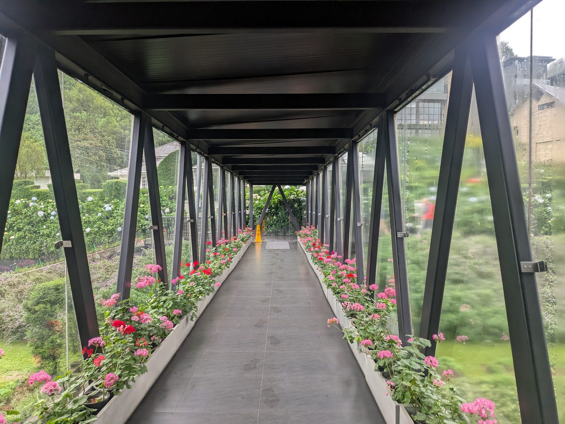 Covered glass walkway with flowers at The Golden Ridge Hotel