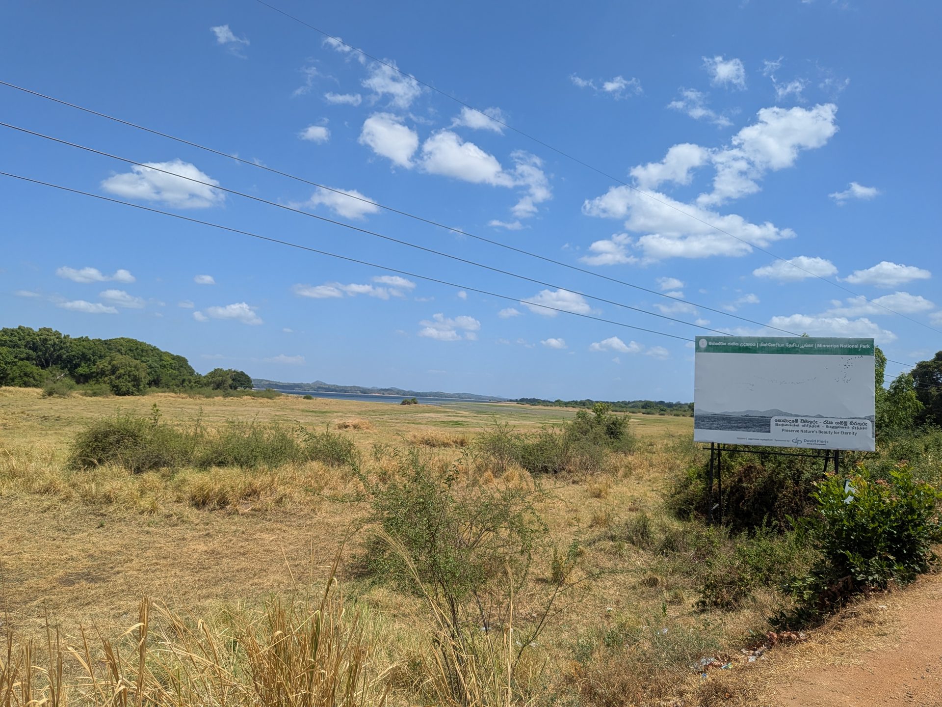 Open grasslands near Minneriya
