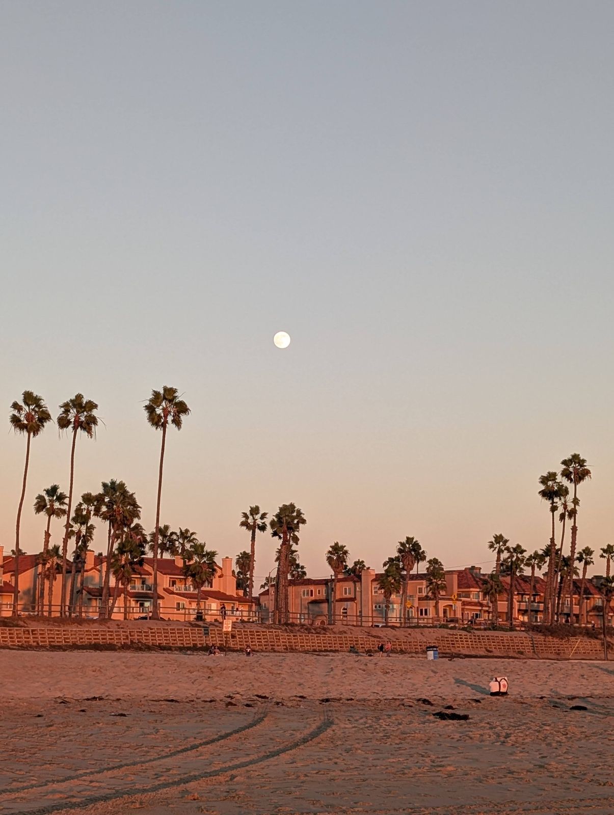 Moon rising over palm trees and beach houses in Huntington Beach