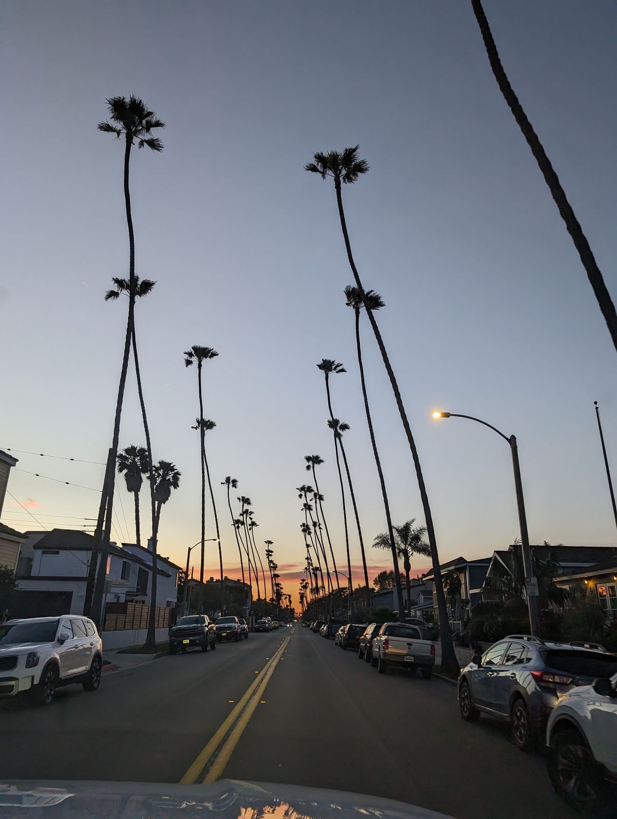 Palm-lined residential street in Huntington Beach at dusk