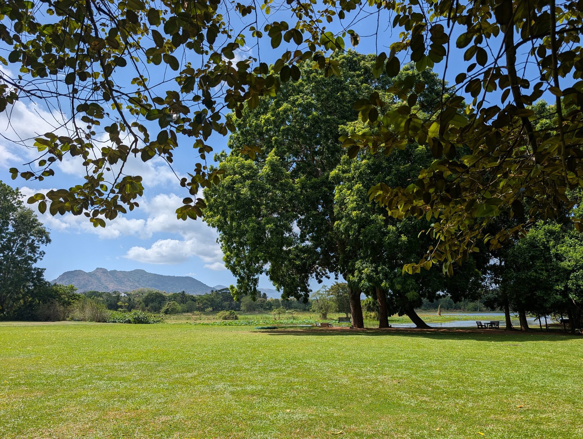 Grounds and lake at Jetwing Lake