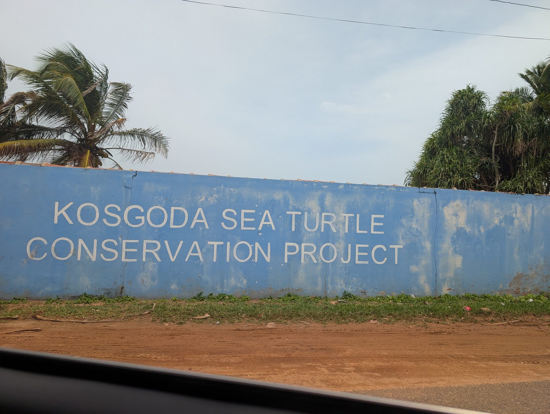 Kosgoda Sea Turtle Conservation Project sign on Galle Road