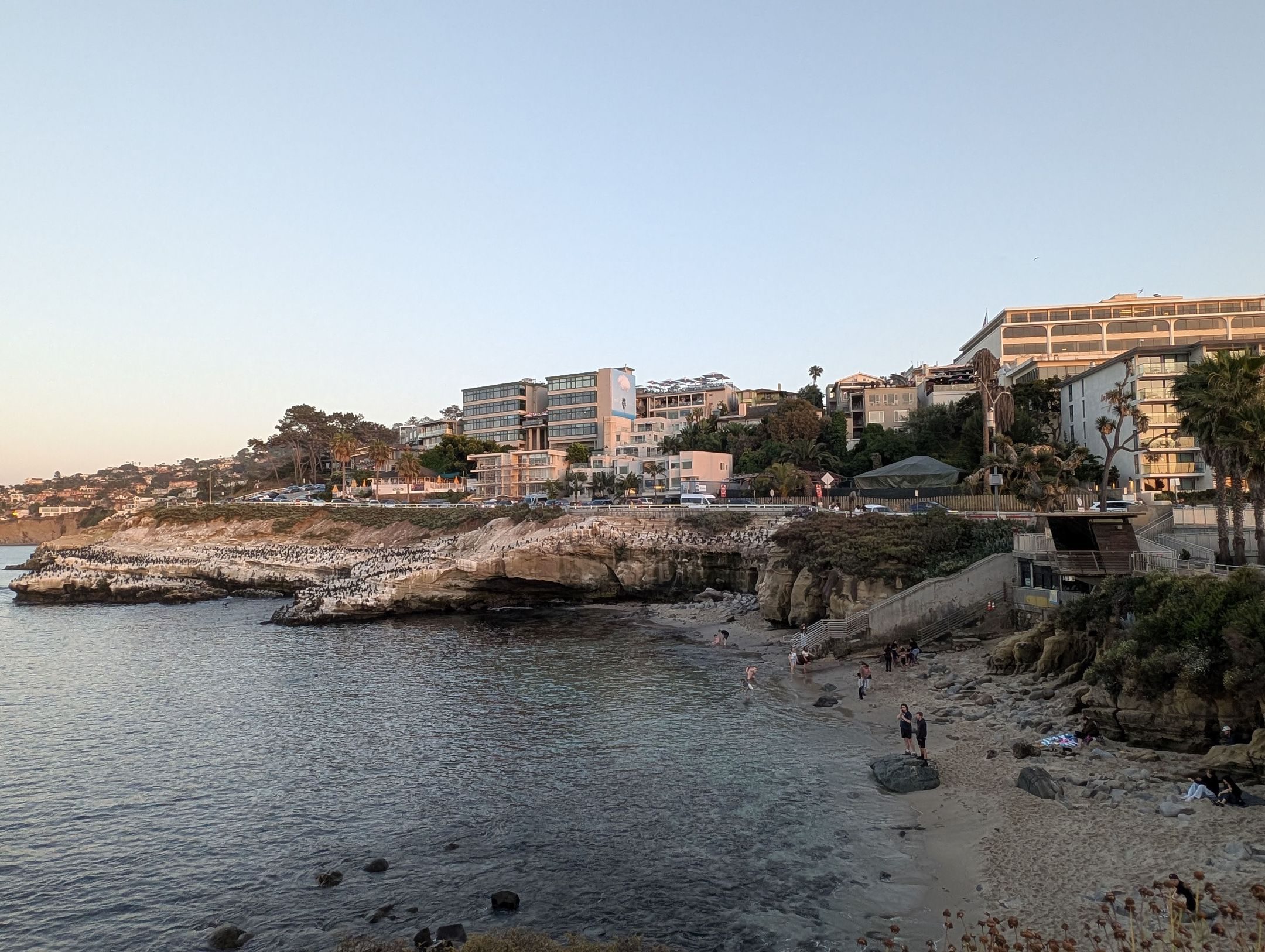 Visiting La Jolla Cove with Kids