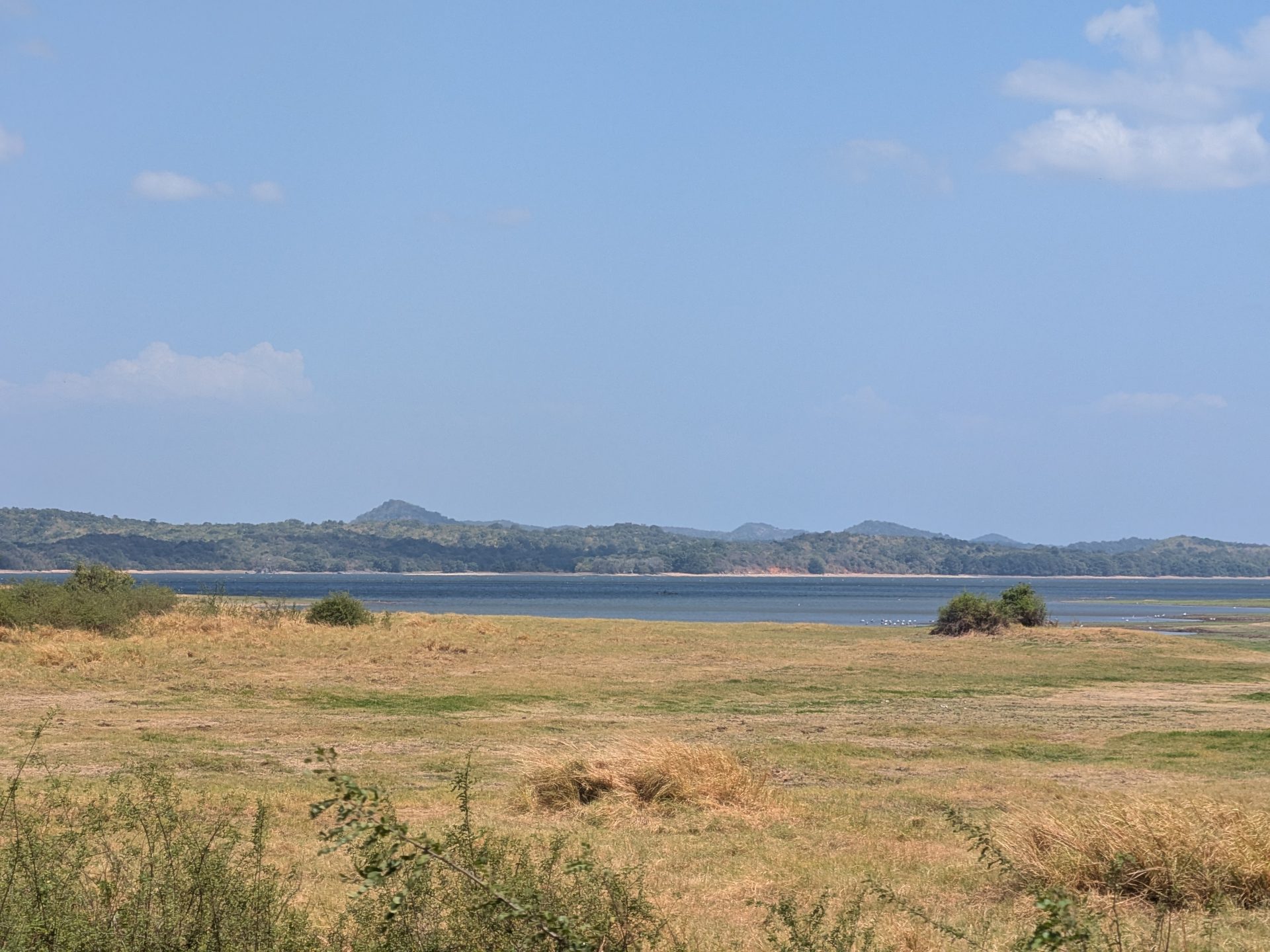 Minneriya reservoir and grasslands with mountains behind