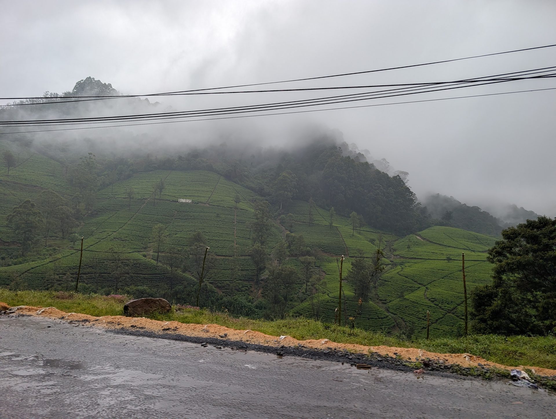 Misty tea estates outside Nuwara Eliya