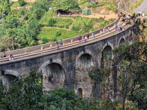 Sri Lanka South Coast and Hill Country Road Trip: 5 Days From Colombo Sri Lanka South Coast and Hill Country Road Trip: 5 Days From Colombo