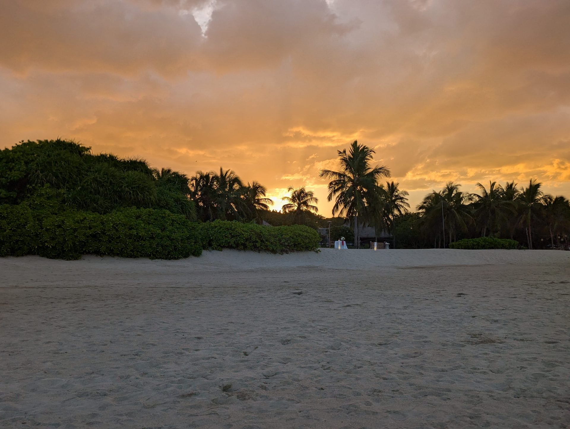 Orange sunset over palms at Pasikudah