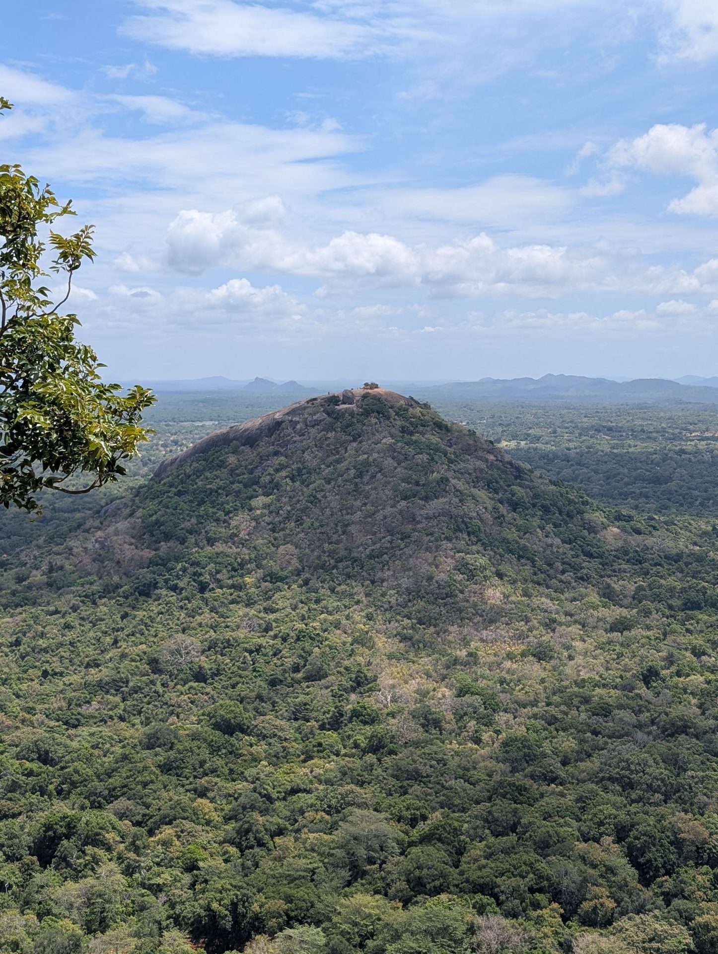 Pidurangala Rock rising out of the jungle