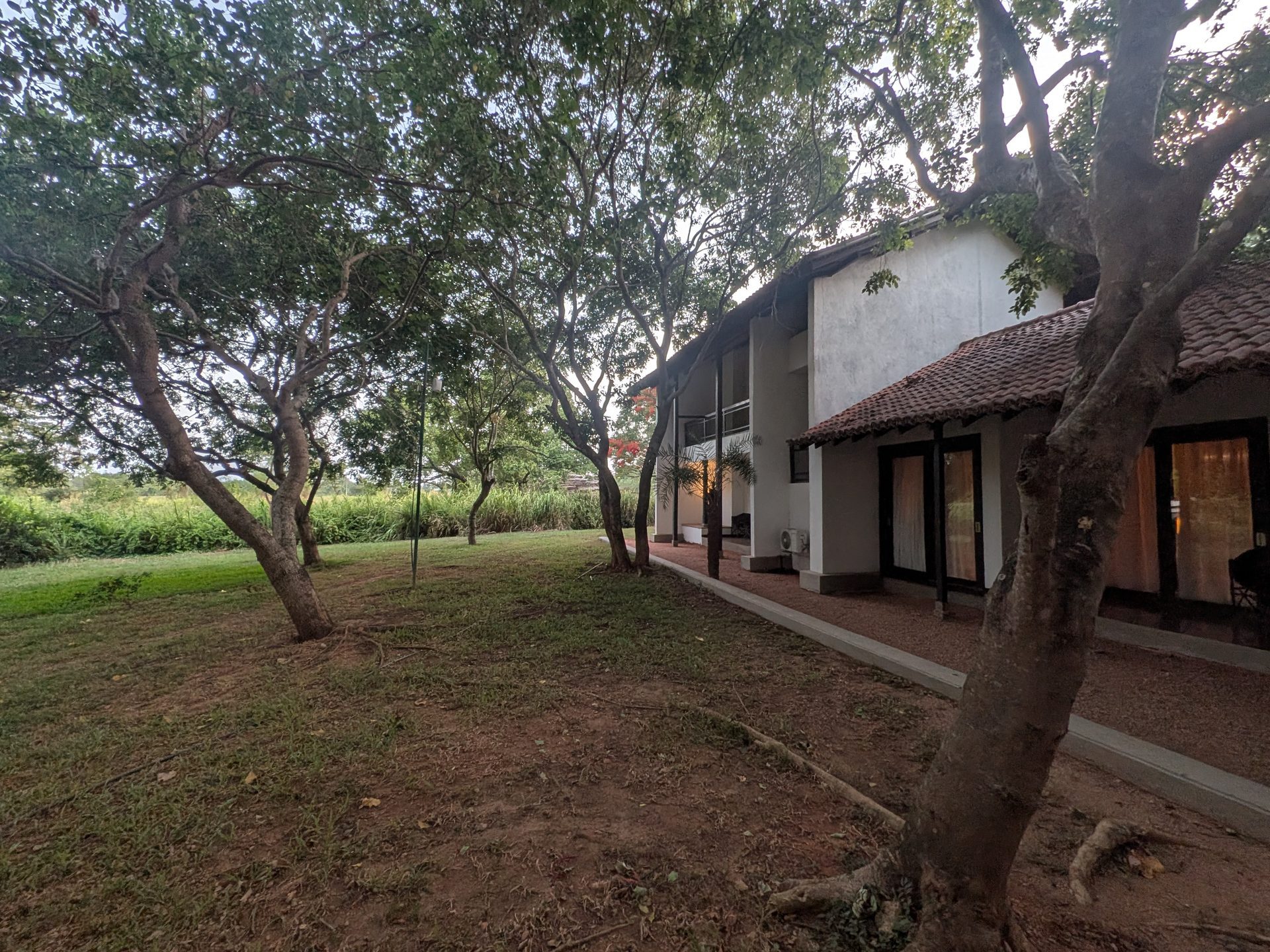 Chalet-style rooms on the grounds of Sigiriya Jungles
