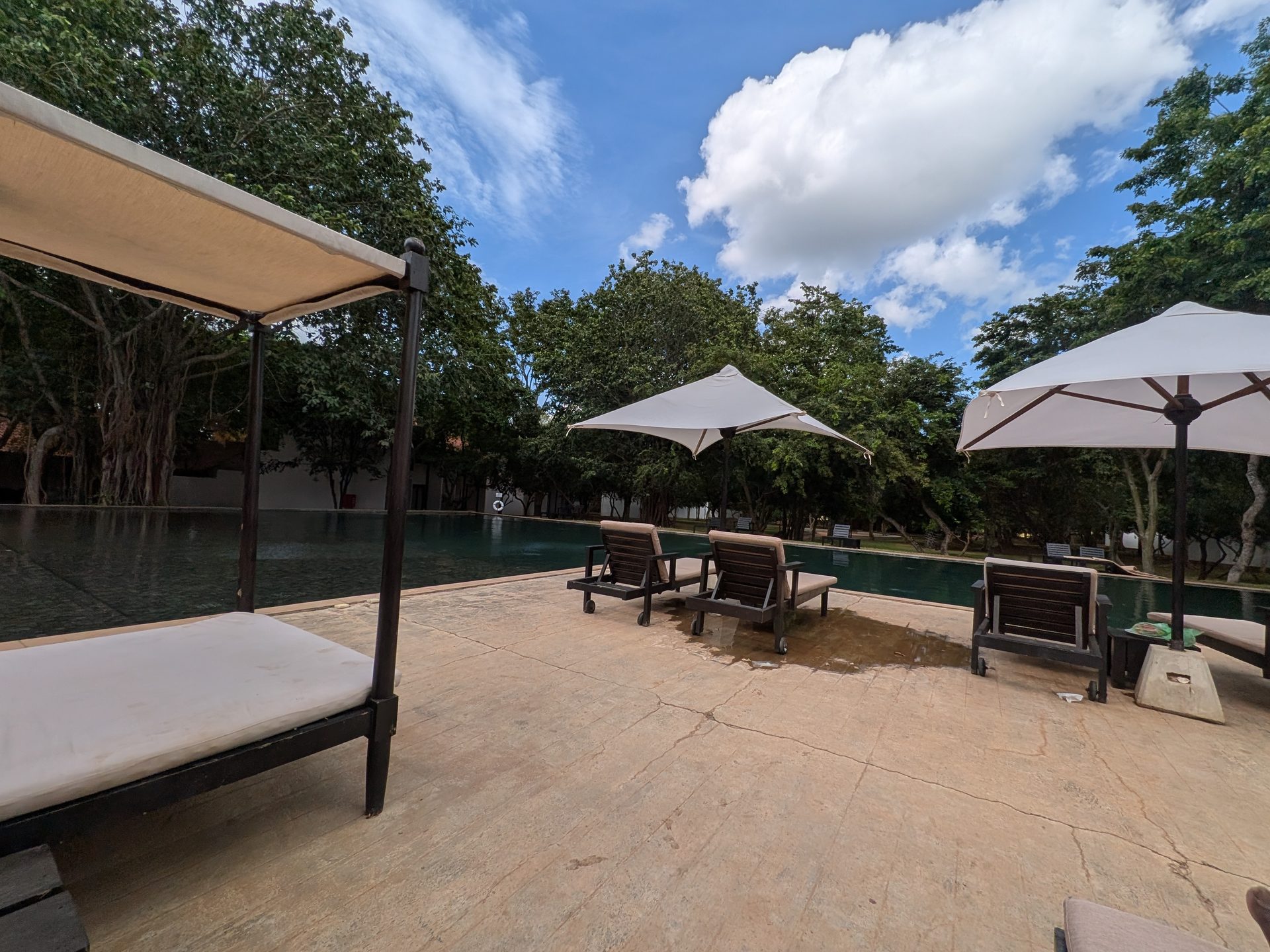 Daybed and loungers by the pool at Sigiriya Jungles