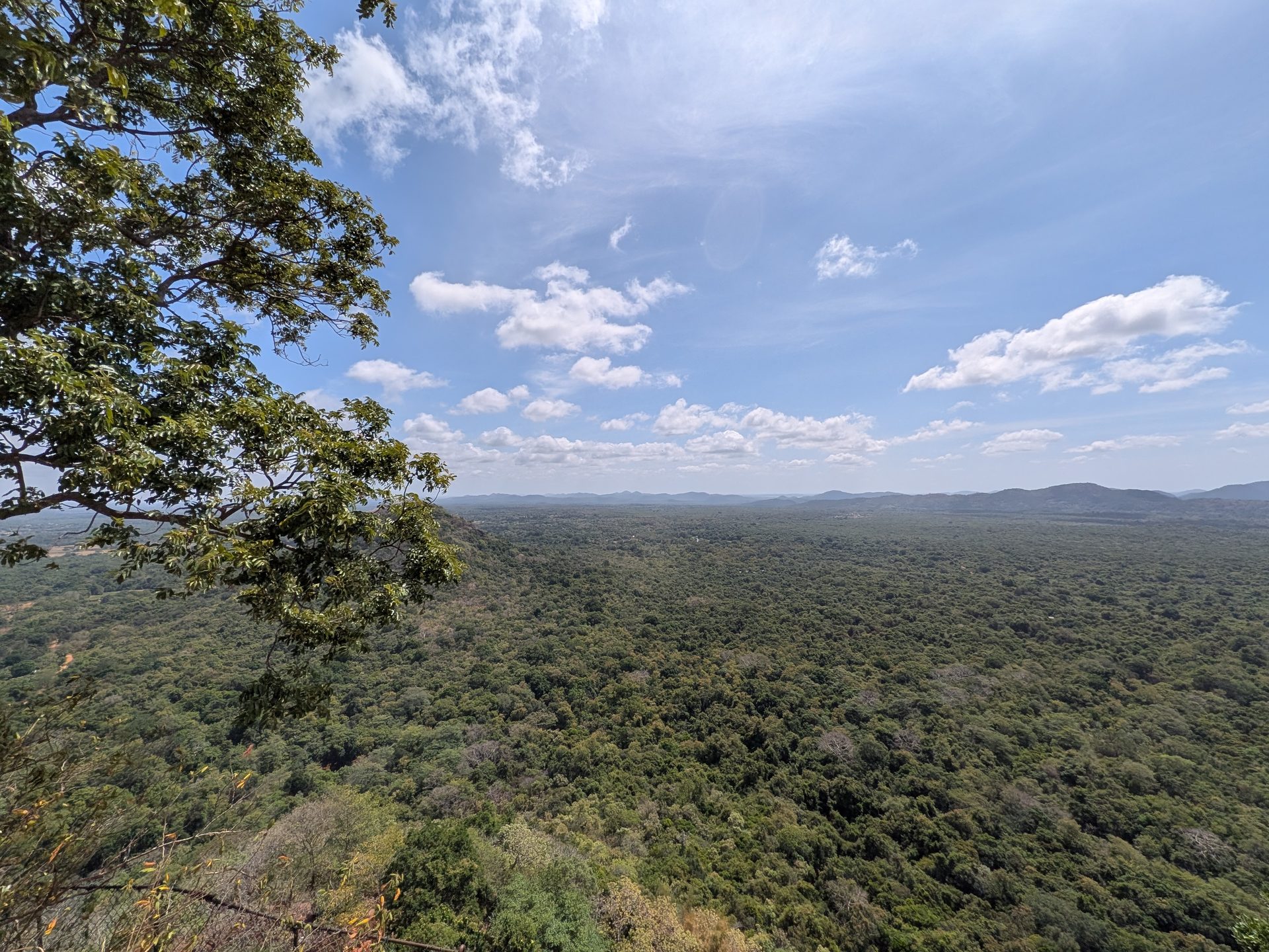 Jungle plains stretching to the horizon from Sigiriya