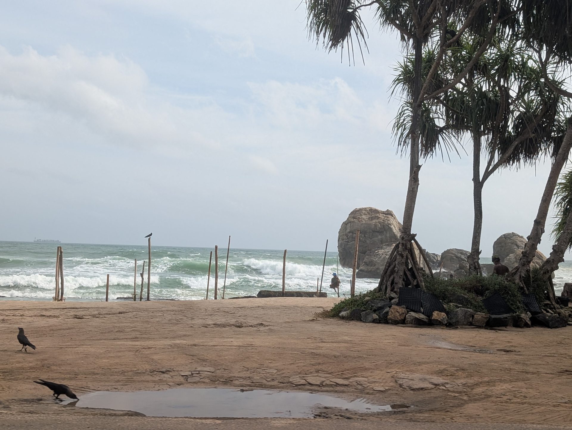 Stilt fishing poles on the south coast of Sri Lanka