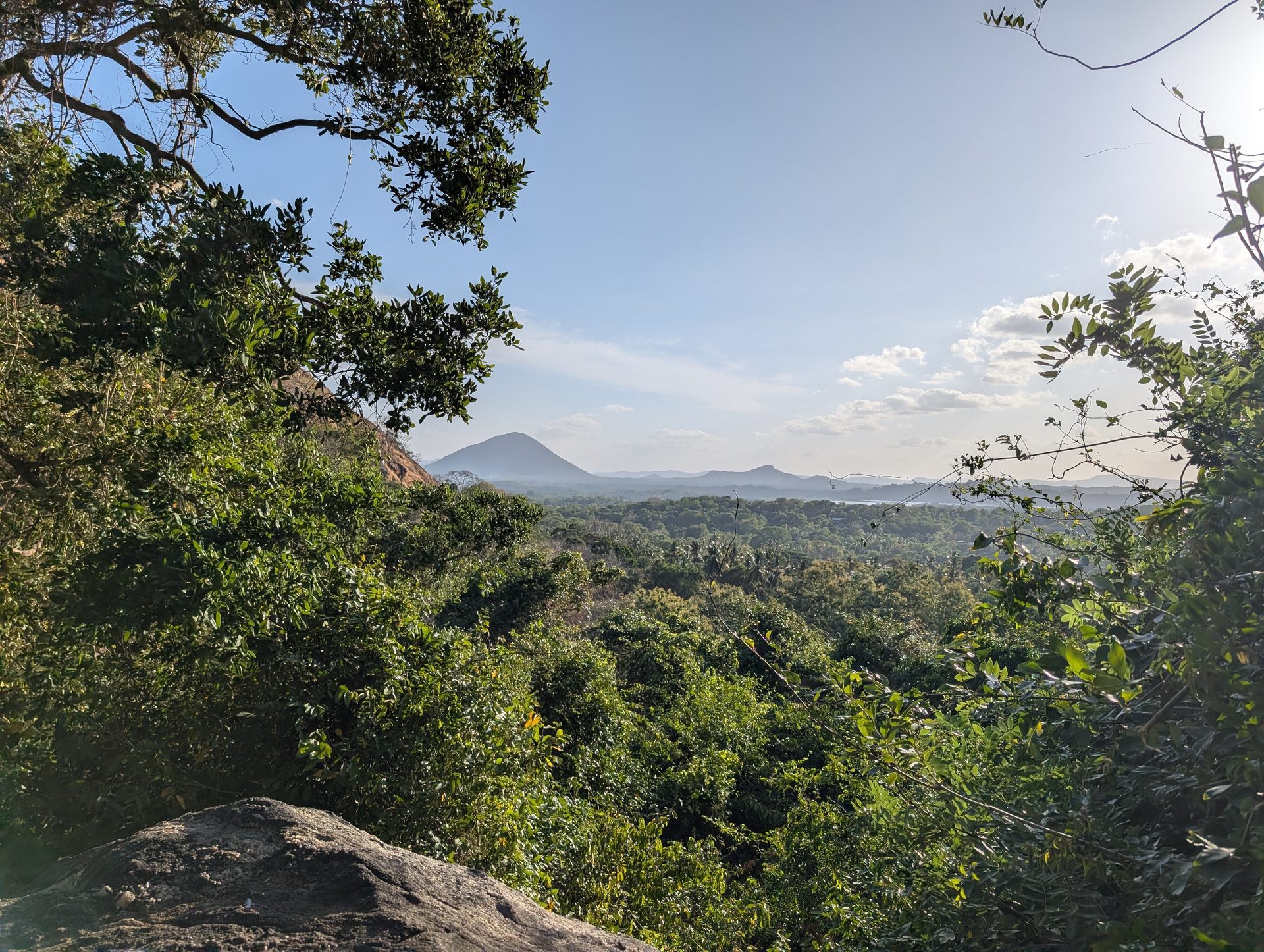View over the forest from the path to Dambulla Cave Temple